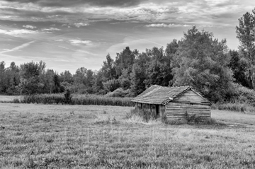 Near Woerthsee, Bavaria, 2015