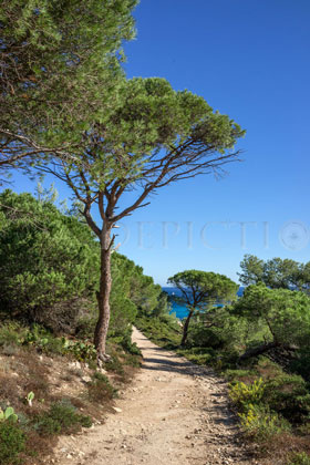 Saint Tropez Peninsula, Provence, 2013